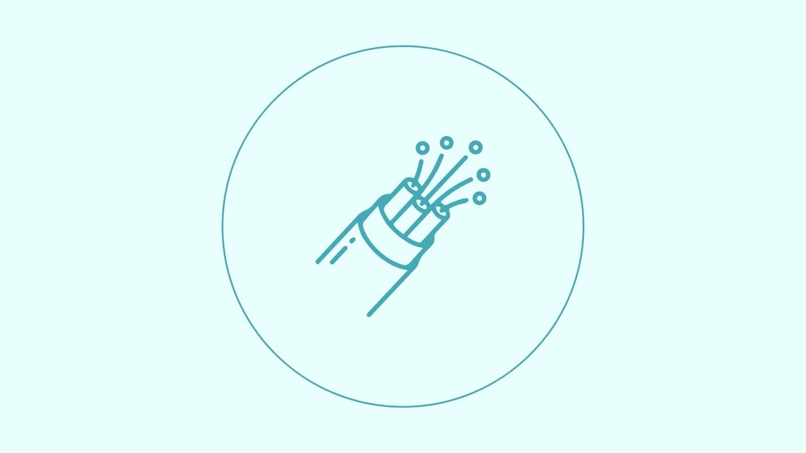 Fiber Connectivity
