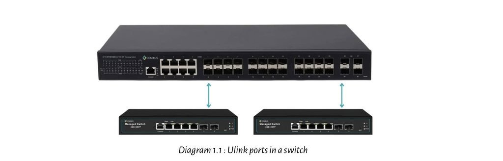 Uplink ports in networking