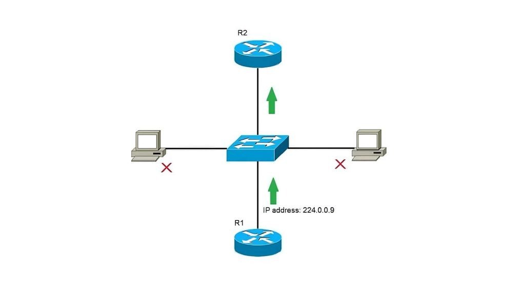 ip address in networking