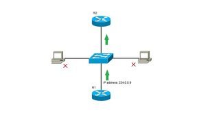 ip address in networking